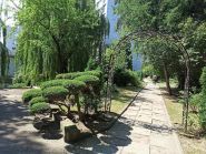 Закарпатський лесотехническим коледж НЛТУ фото