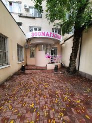 King 👑 Zoo, зоомагазин фото