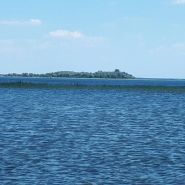 Світязь, оздоровчий табір фото