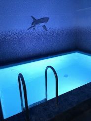 Шампань, розважальний комплекс фото