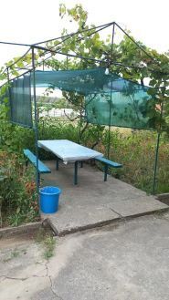 Червона Перлина, база відпочинку фото