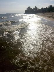 Червона Перлина, база відпочинку фото