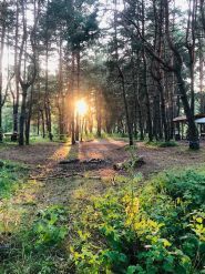 On top camp, кемпинг фото