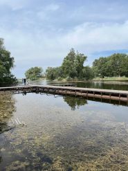 Перлина, база отдыха фото