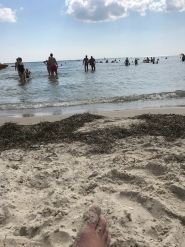 Вілла Олександра, база відпочинку фото