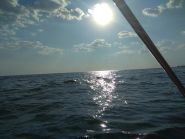 Лазурне, база відпочинку фото