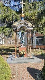 Коледж Львівського національного аграрного університету фото