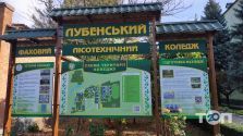 Лубенський лісотехнічний коледж фото