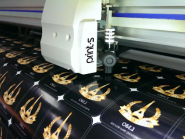 Print-S, поліграфічні послуги фото