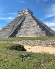 Namaste, туристическое агентство фото