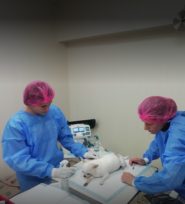 Велес VET, ветеринарна клініка фото