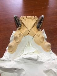 Vet.Praxis, ветеринарна клініка фото