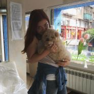 Пандочка, ветеринарна клініка фото