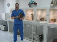 Vip хвіст, ветеринарная клиника фото