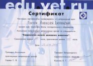 VetSana, ветеринарна допомога фото