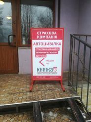 Княжа Вієнна Іншуранс Груп, страхова компанія фото