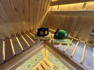 Prolisok, база відпочинку фото