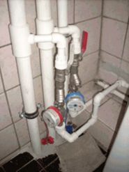 Буд-Сила фото