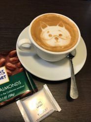 Zharcoff, кав'ярня фото