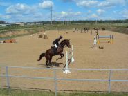 Золотая грива, конно-спортивный клуб фото