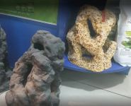 Фішка, зоомагазин фото