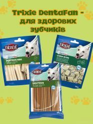 ZOO ROOM, зоомаркет фото