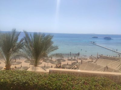 Відгуки про “Miracle travels, турагентство” - фото 2