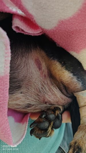 Отзывы о “Ветеринарна аптека на Рабочей 164” - фото 2