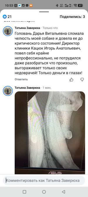 Відгуки про “На Робочій, ветеринарна клініка” - фото 2