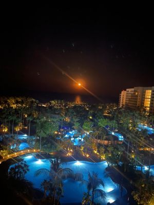 Відгуки про “Ksamil Travel, туристична агенція” - фото 2