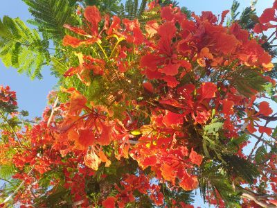 Відгуки про “Парадіз-Тур Люкс, туристичне агентство” - фото 2