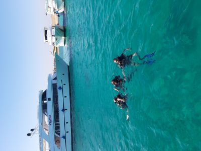 Відгуки про “Relax tour, туристичне агентство” - фото 2