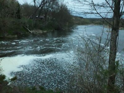Відгуки про “Печерський Водограй, база відпочинку” - фото 2