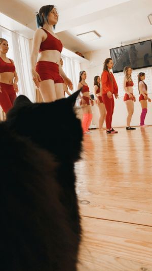 Відгуки про “Dance Lila Center, школа танців” - фото 2