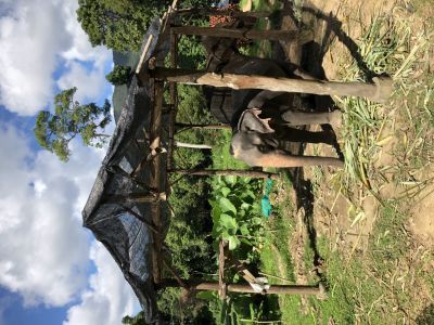 Отзывы о “Didi tour, туристическое агентство” - фото 2