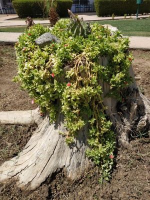 Відгуки про “Tavor Travel, туристична агенція” - фото 2