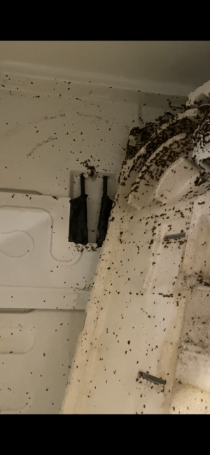 Отзывы о “Генералочка, клининговая компания” - фото 2