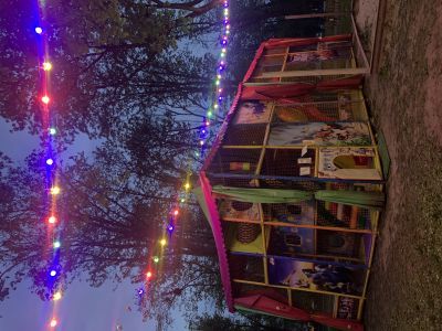 Відгуки про “Джунглі Парк, дитячий розважальний центр” - фото 2