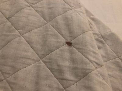 Відгуки про “InSky, туристичне агентство” - фото 2