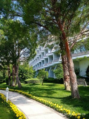 Відгуки про “Miracle travels, турагентство” - фото 2