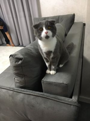 Відгуки про “Славокс, меблі” - фото 2