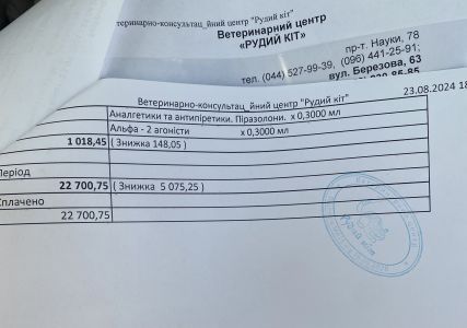 Отзывы о “Рыжий кот, ветеринарная клиника” - фото 2