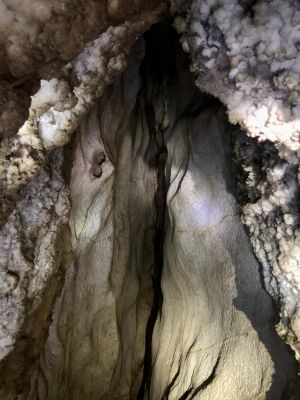 Відгуки про “Спільношкола, приватна школа” - фото 2