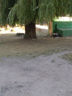 Відгуки про “Школа №20” - фото 2