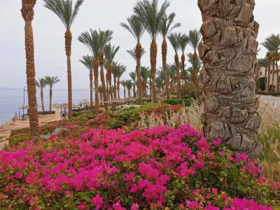 Отзывы о “Виктория Тур, туристическое агентство” - фото 2