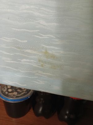 Відгуки про “Мисливська садиба, база відпочинку” - фото 2