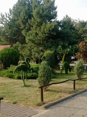 Відгуки про “Лелеки, кінний двір” - фото 2