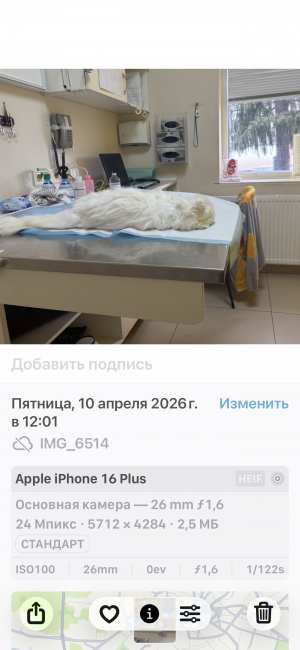 Відгуки про “Центр клінічної ветеринарії” - фото 2