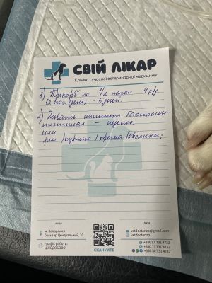 Відгуки про “Свій Доктор, ветеринарна клініка” - фото 2