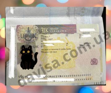 Відгуки про “Davisa, центр міграційної підтримки” - фото 2